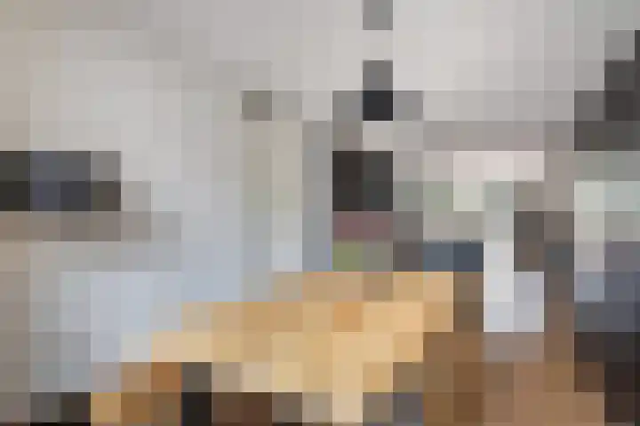 Van den Boschlaan 3 Ede thumbnail 12