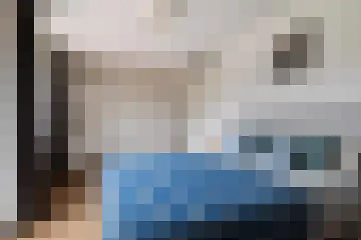 Van den Boschlaan 3 Ede thumbnail 19