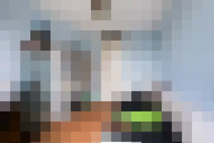 Van den Boschlaan 3 Ede thumbnail 21