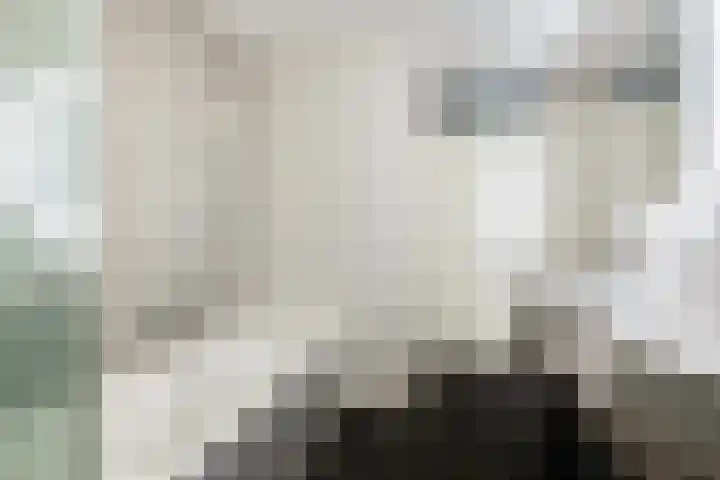 Van den Boschlaan 3 Ede thumbnail 26