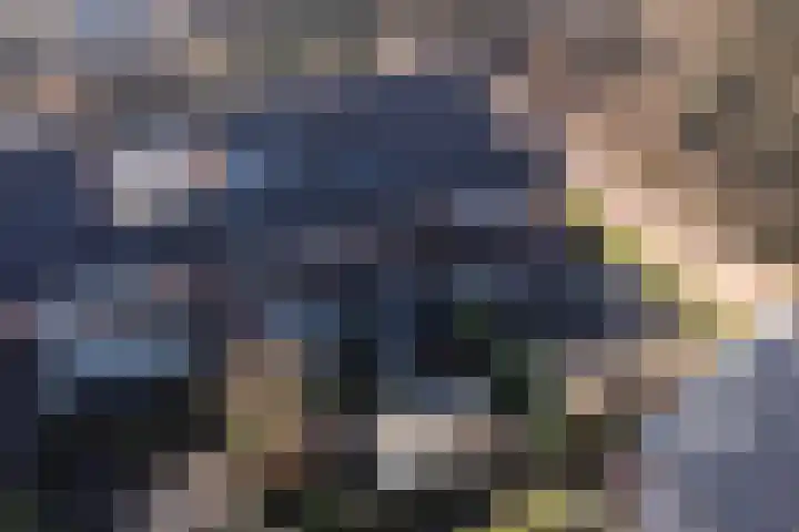 Van den Boschlaan 3 Ede thumbnail 35