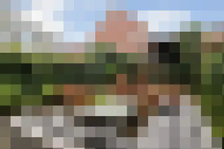 Van den Boschlaan 3 Ede thumbnail 36