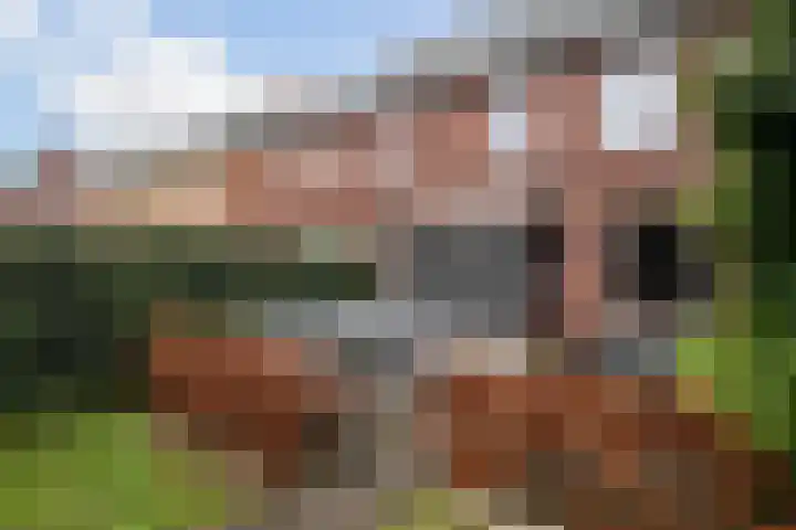 Van den Boschlaan 3 Ede thumbnail 37