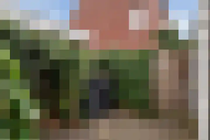 Van den Boschlaan 3 Ede thumbnail 40