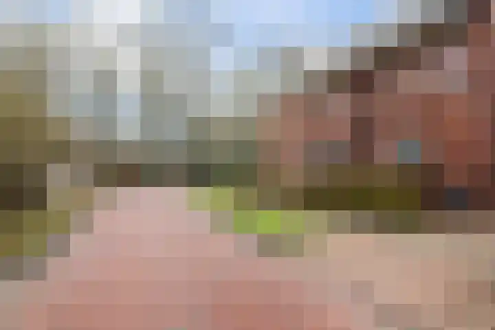 Van den Boschlaan 3 Ede thumbnail 41