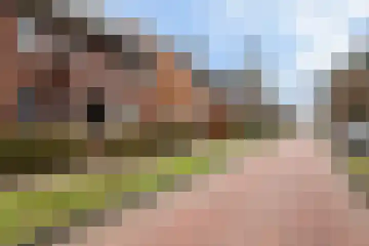 Van den Boschlaan 3 Ede thumbnail 42