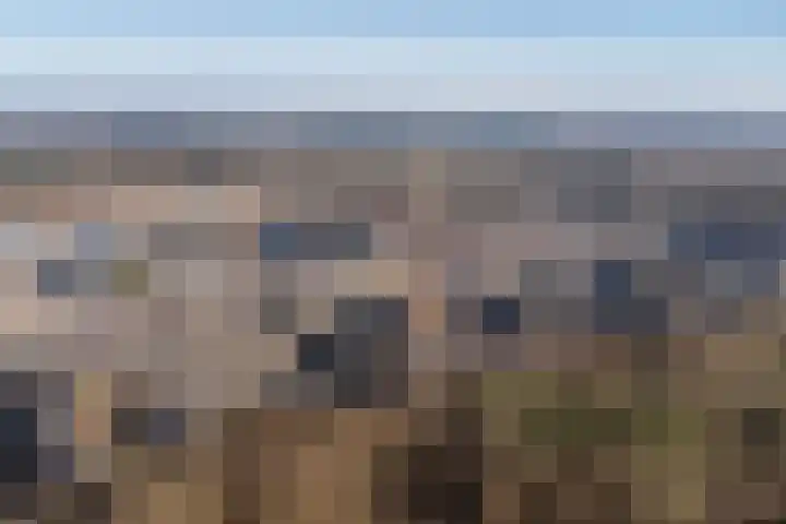 Van den Boschlaan 3 Ede thumbnail 45