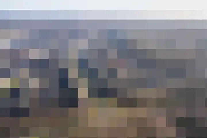 Van den Boschlaan 3 Ede thumbnail 46