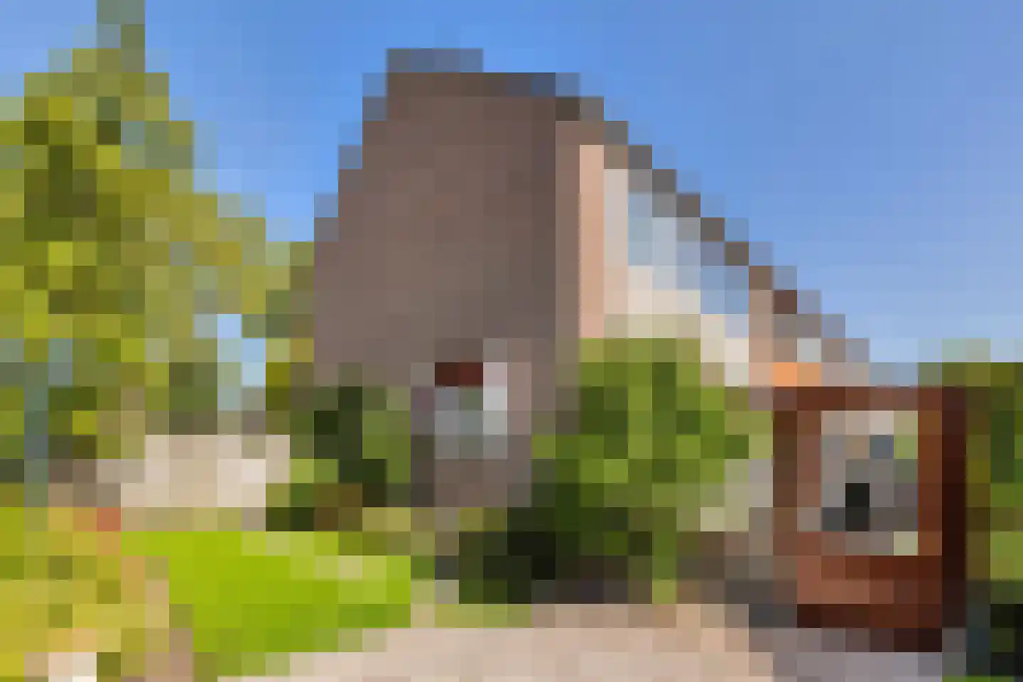 van den Boschlaan 43 Hellevoetsluis thumbnail 6
