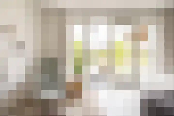Van den Boschlaan 45 Ede thumbnail 10