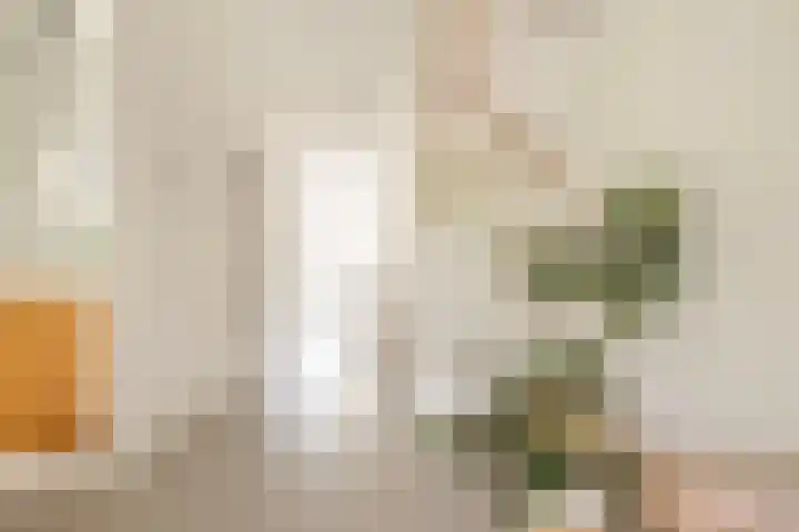 Van den Boschlaan 45 Ede thumbnail 11