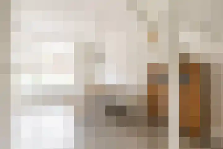Van den Boschlaan 45 Ede thumbnail 12