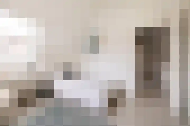 Van den Boschlaan 45 Ede thumbnail 30