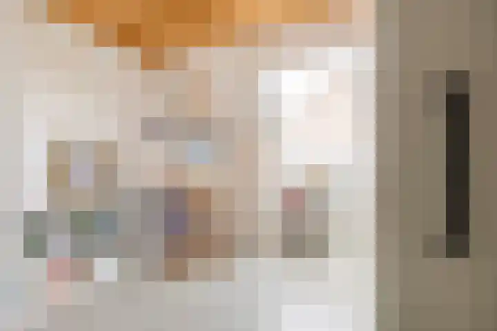 Van den Boschlaan 45 Ede thumbnail 31