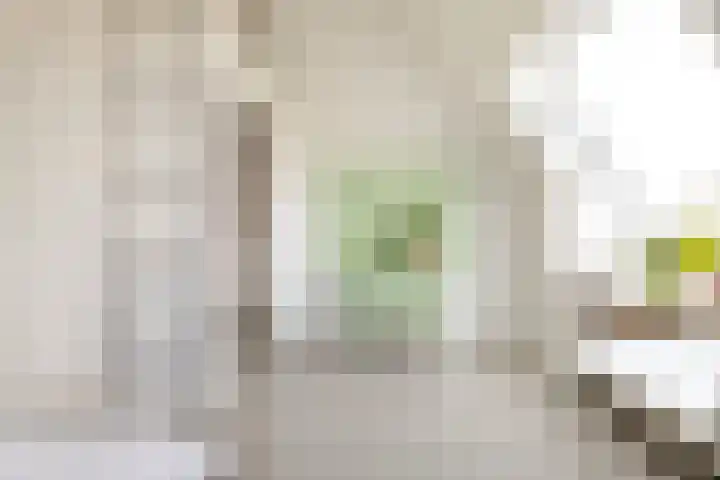 Van den Boschlaan 45 Ede thumbnail 33
