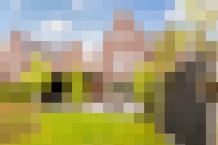 Van den Boschlaan 45 Ede thumbnail 35