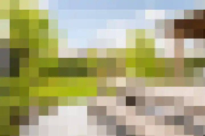 Van den Boschlaan 45 Ede thumbnail 36