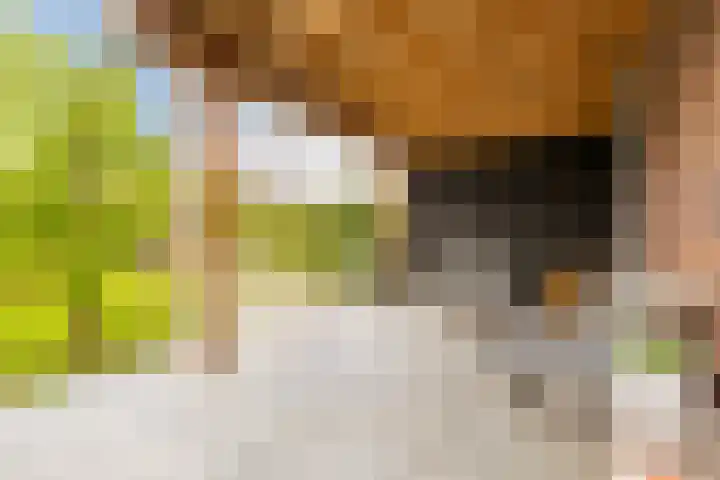 Van den Boschlaan 45 Ede thumbnail 37