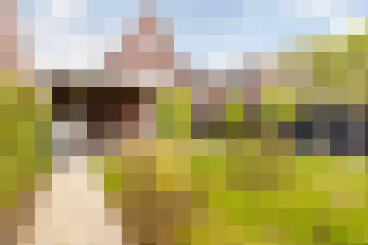 Van den Boschlaan 45 Ede thumbnail 39