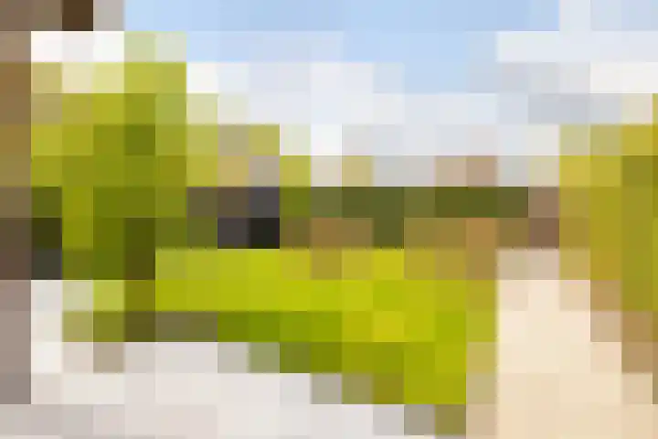 Van den Boschlaan 45 Ede thumbnail 40