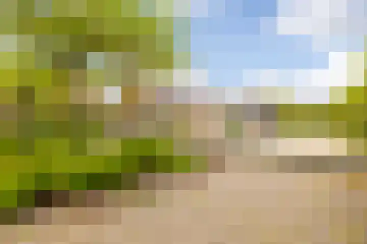 Van den Boschlaan 45 Ede thumbnail 41