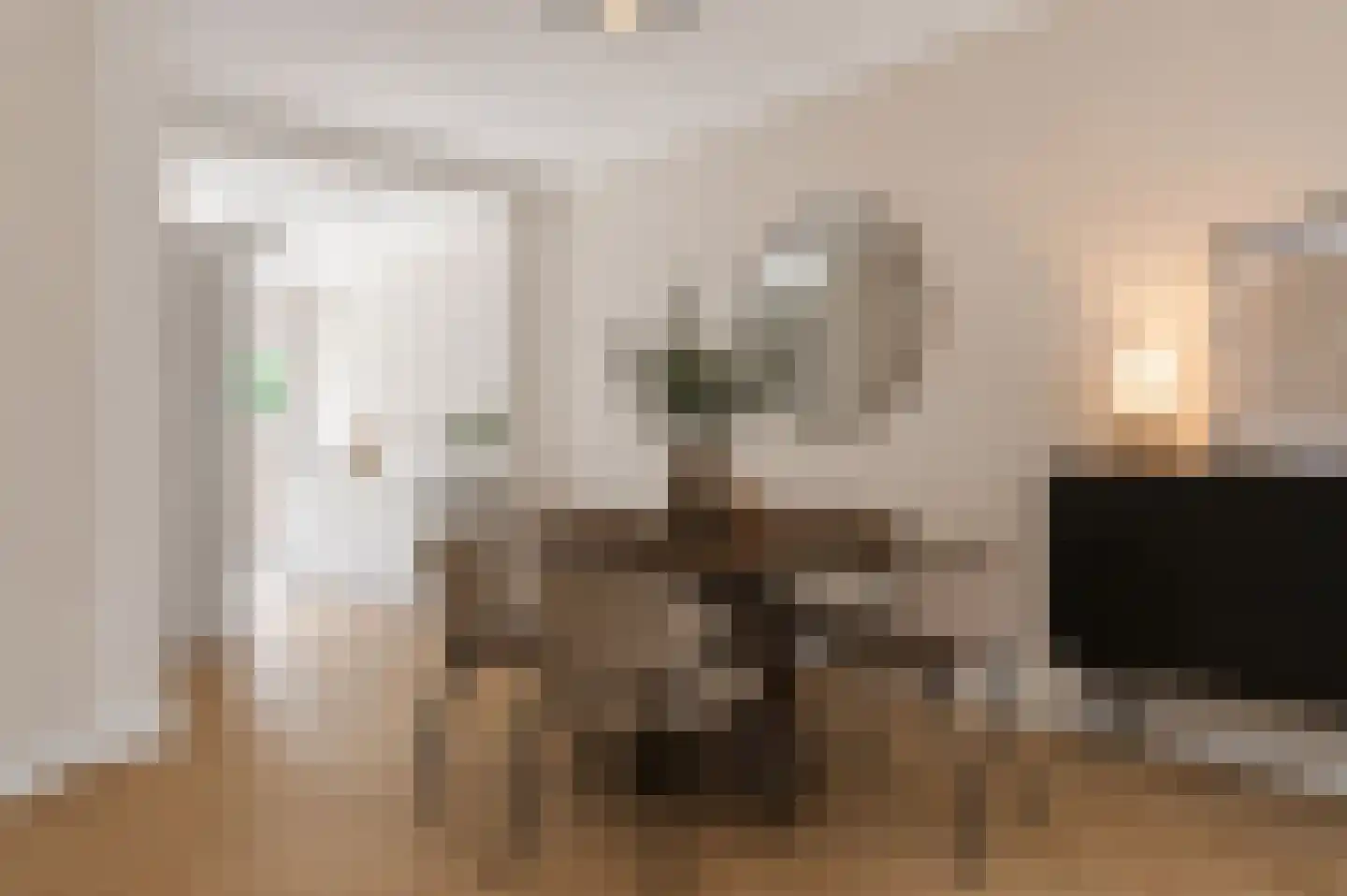 Van den Boschstraat 232 Den Haag thumbnail 8