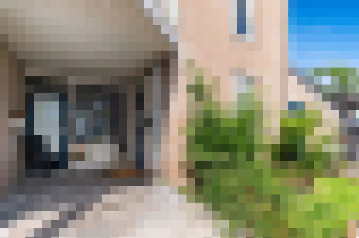 van den Boschstraat 31 Gouda thumbnail 10