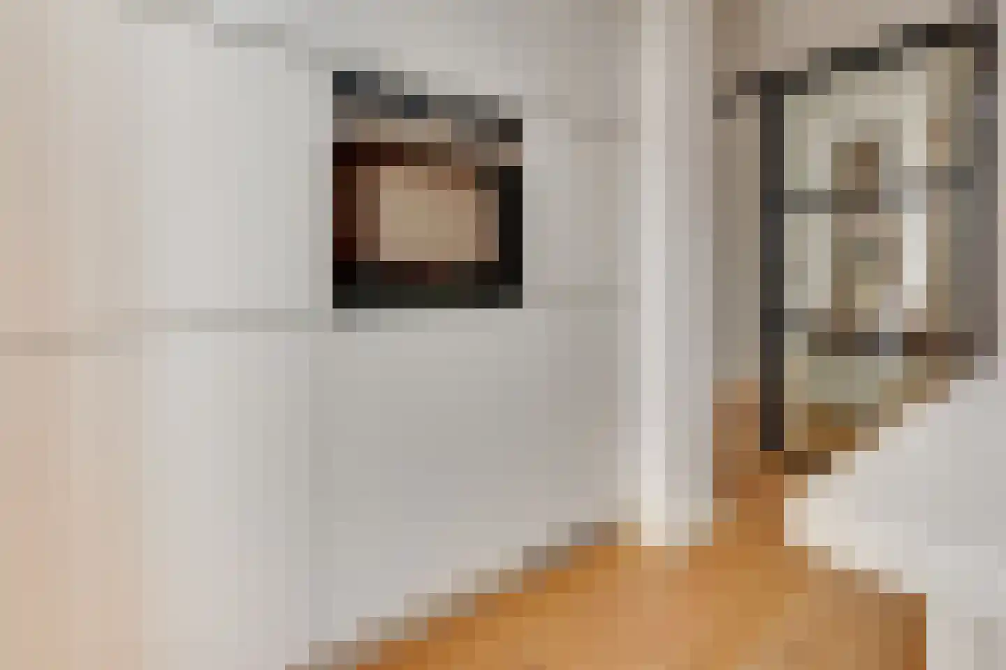 Van den Boschstraat 36 Utrecht thumbnail 16