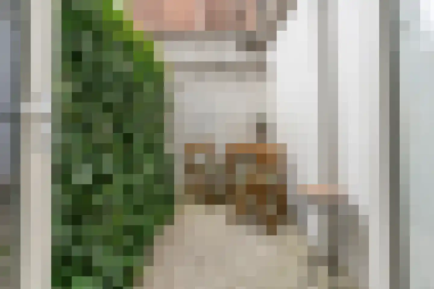 Van den Boschstraat 36 Utrecht thumbnail 18