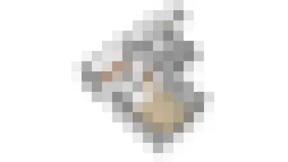 Van den Boschstraat 36 Utrecht thumbnail 41