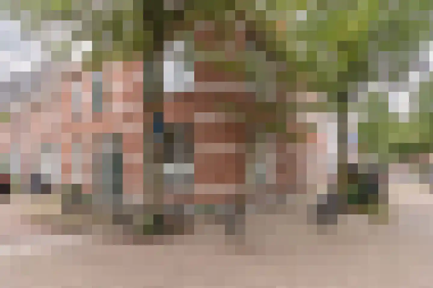 Van den Boschstraat 36 Utrecht thumbnail 5