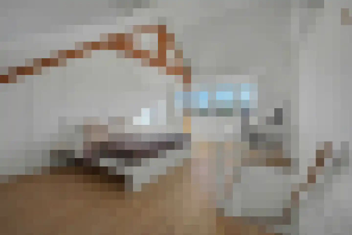 Van den Boschstraat 9 Enschede thumbnail 33