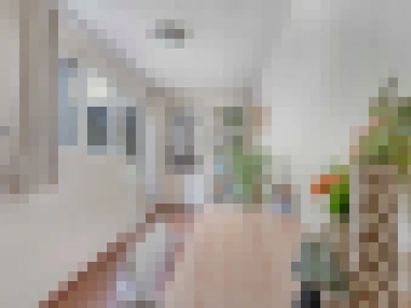 Van den Boschstraat 9 Utrecht thumbnail 16