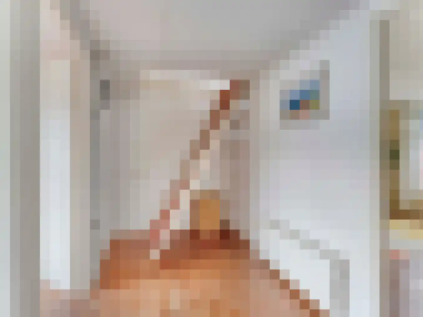 Van den Boschstraat 9 Utrecht thumbnail 20