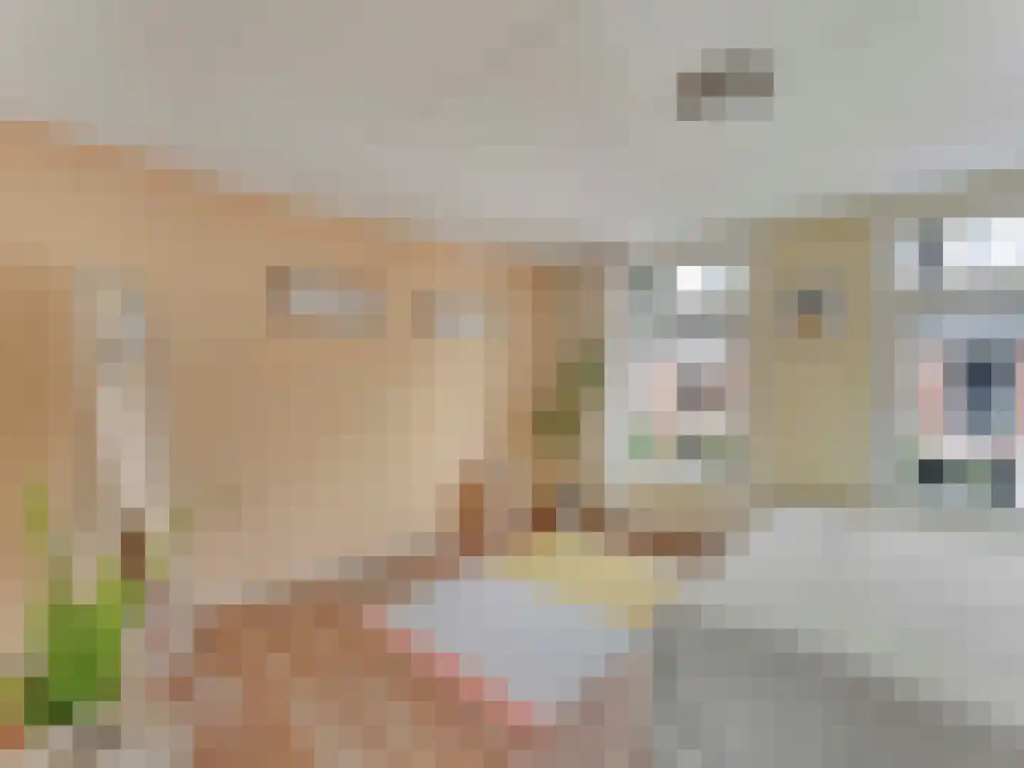 Van den Boschstraat 9 Utrecht thumbnail 21