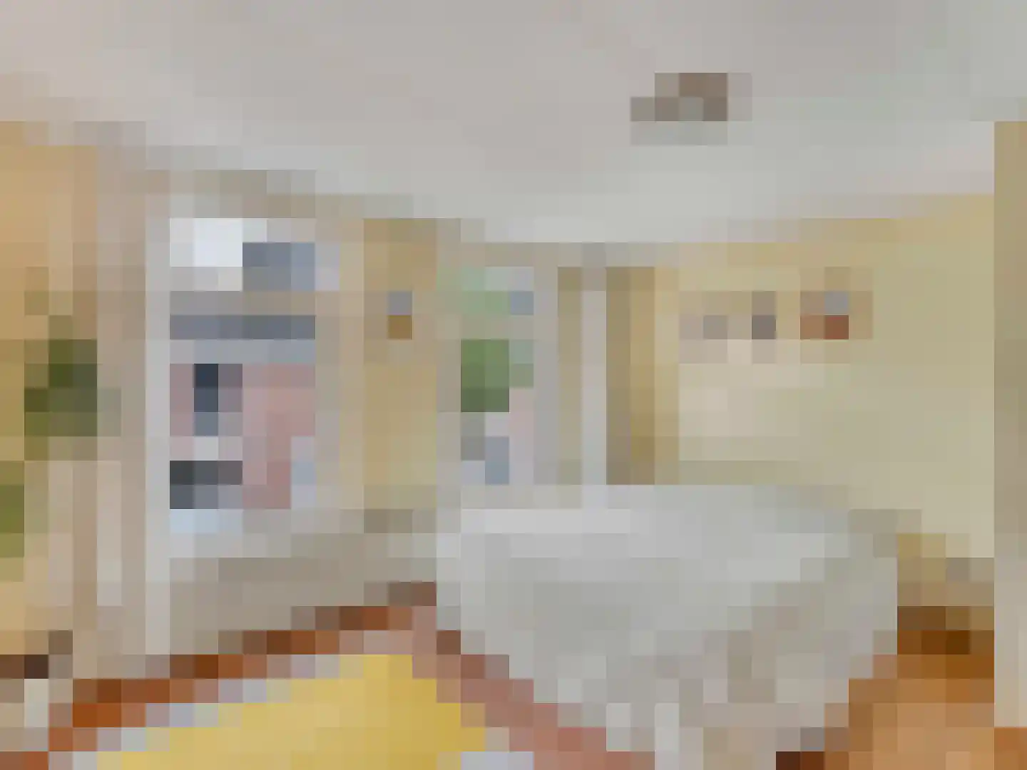 Van den Boschstraat 9 Utrecht thumbnail 5