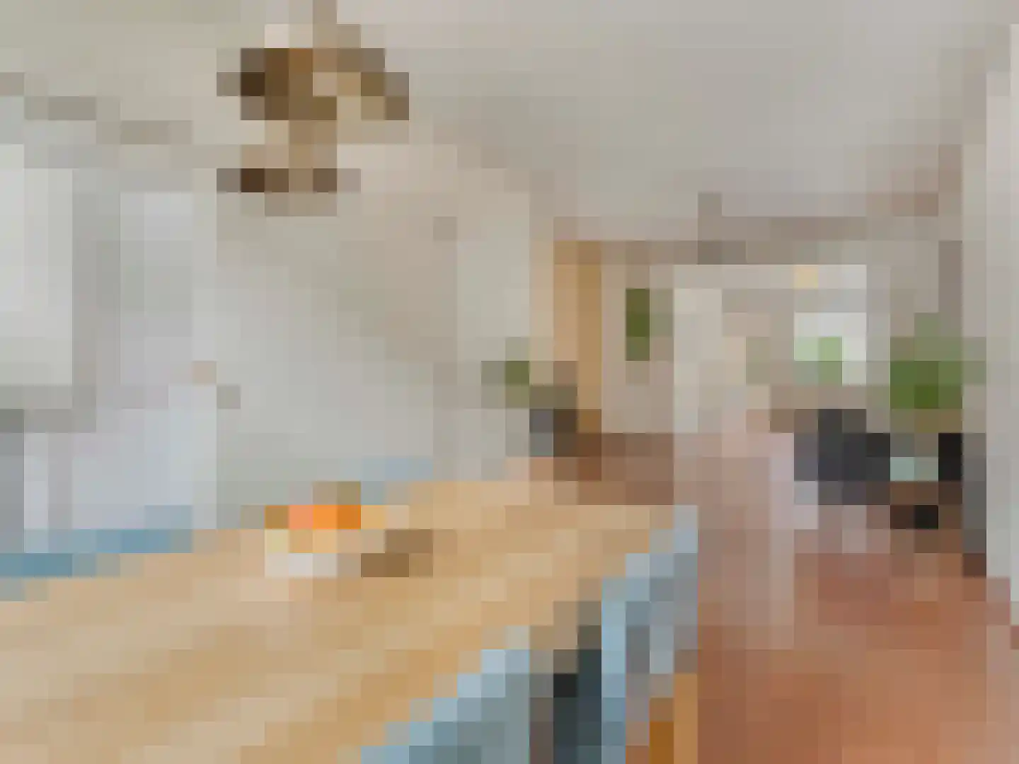 Van den Boschstraat 9 Utrecht thumbnail 7
