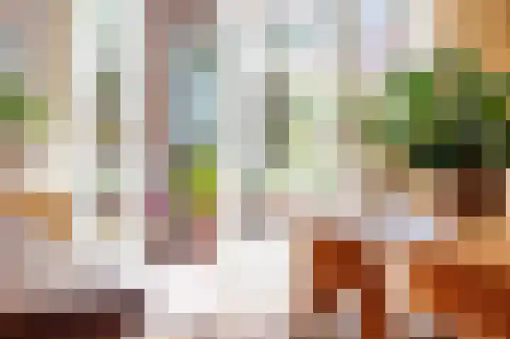 Van den Brandelerkade 17 Leiden thumbnail 10