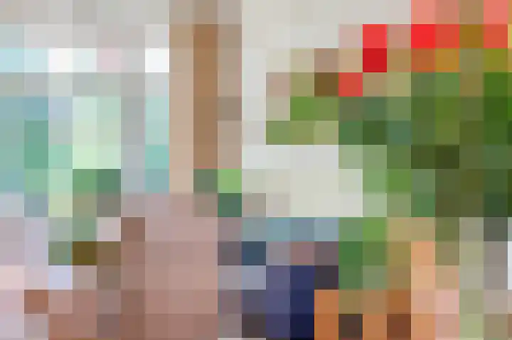 Van den Brandelerkade 17 Leiden thumbnail 12