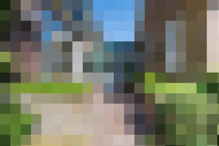 Van den Brandelerkade 17 Leiden thumbnail 14