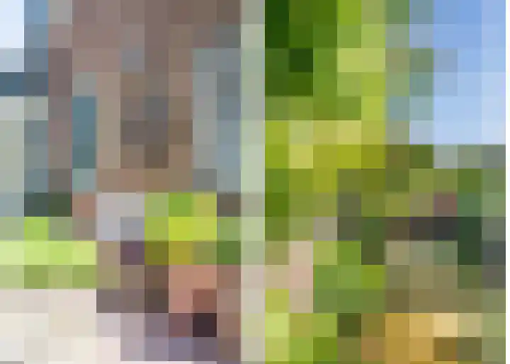 Van den Brandelerkade 17 Leiden thumbnail 17