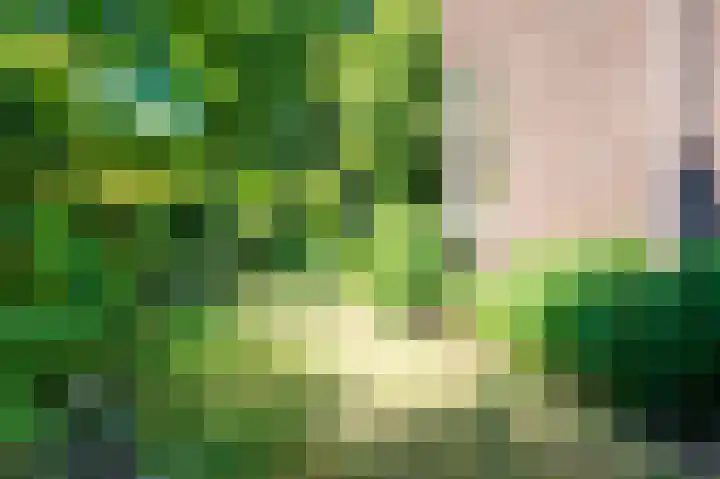 Van den Brandelerkade 17 Leiden thumbnail 18