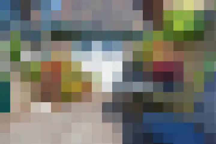 Van den Brandelerkade 17 Leiden thumbnail 19