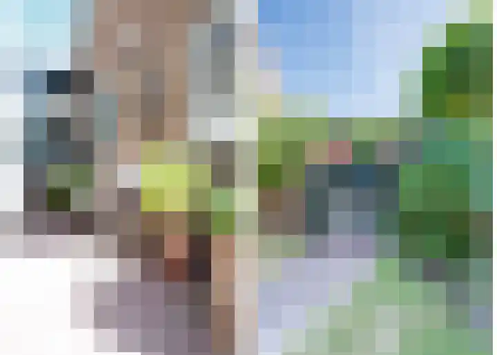 Van den Brandelerkade 17 Leiden thumbnail 20