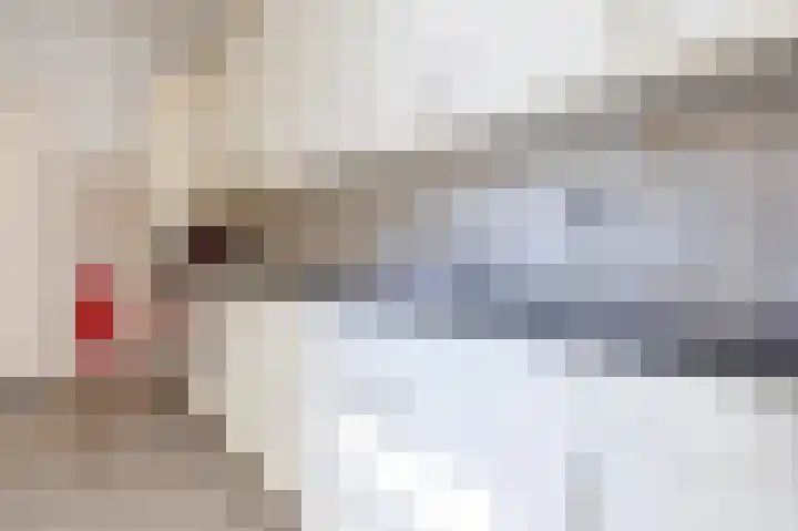 Van den Brandelerkade 17 Leiden thumbnail 22