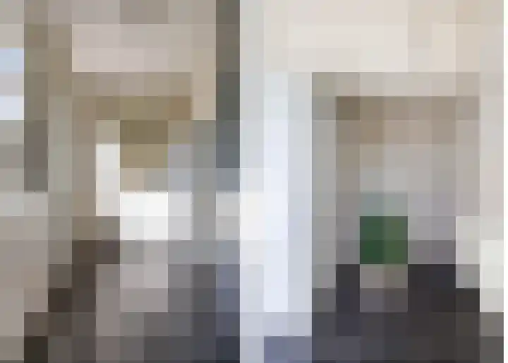 Van den Brandelerkade 17 Leiden thumbnail 23