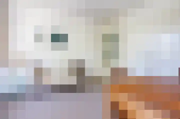 Van den Brandelerkade 17 Leiden thumbnail 28