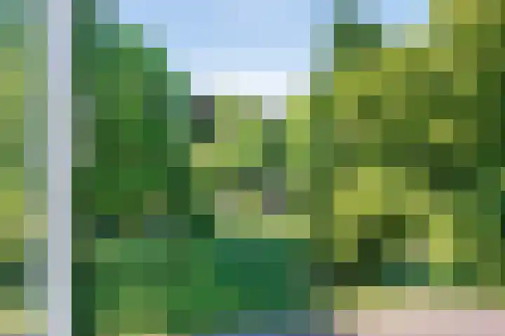 Van den Brandelerkade 17 Leiden thumbnail 36