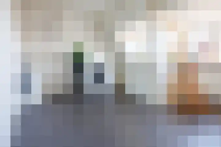 Van den Brandelerkade 17 Leiden thumbnail 39