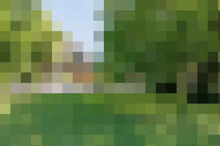 Van den Brandelerkade 17 Leiden thumbnail 48
